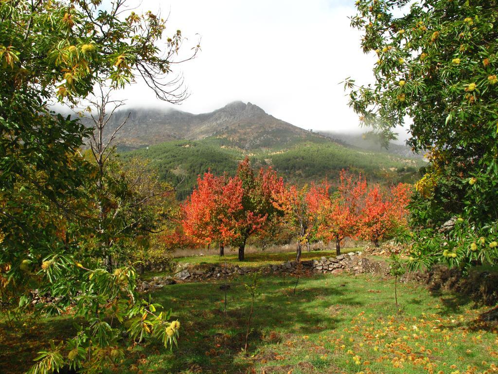 Casa El Herragu El Arenal  Exteriör bild